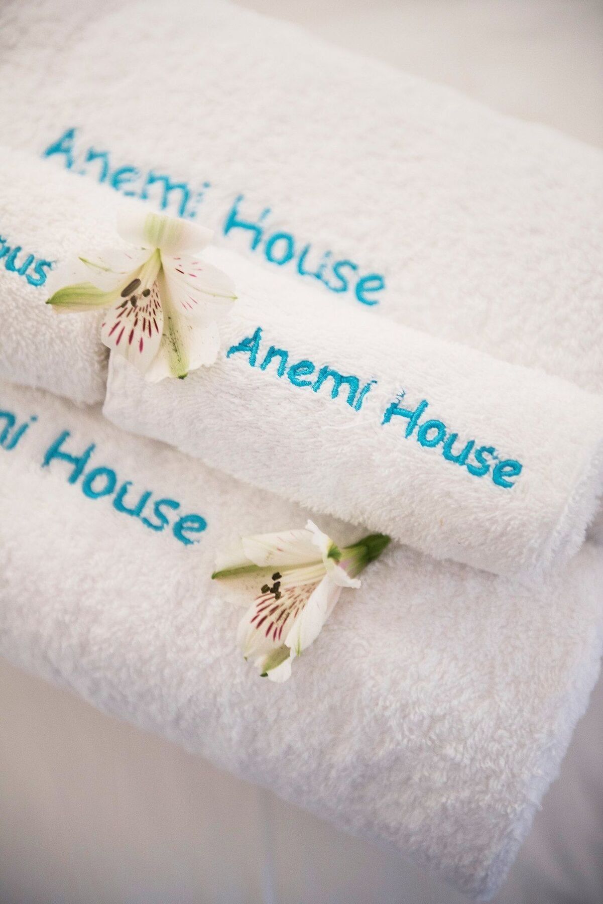 Anemi House & Villas Oia  Bagian luar foto